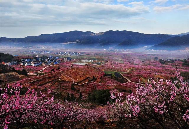 2018胡陈桃花节最全攻略,赏花,美食,音乐会,亲子活动