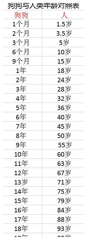 狗狗最多能活多少年？狗的寿命为什么短？狗的年龄和人的年龄换算