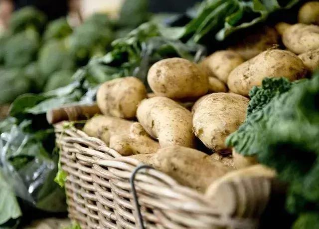 粮食、棉花、油料等农产品未来十年发展展望!