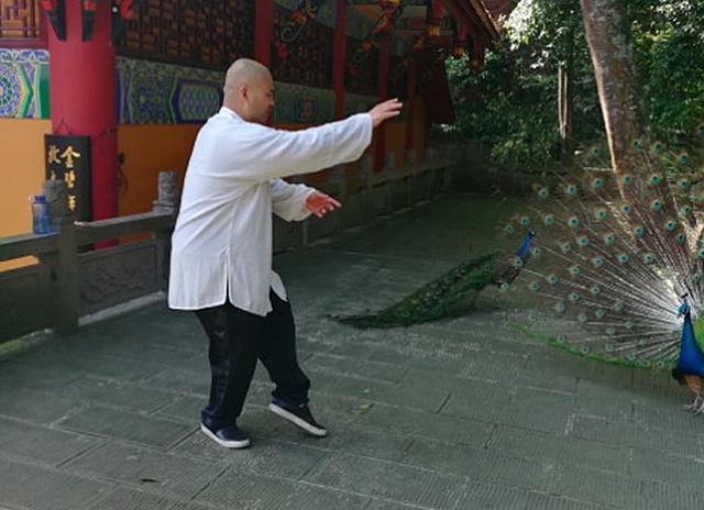 雷公太极为“内功会要人命”翻案,格斗狂人小心百年后了