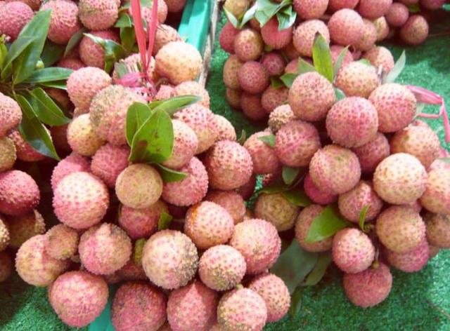 韩国人不认识荔枝?第一次见不知道怎么吃,还误