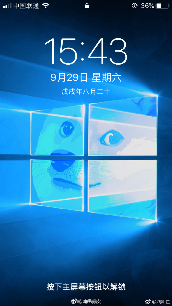 哈哈哈这是什么沙雕壁纸 取图记得点赞哈