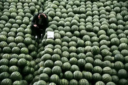 2018上半年水果集体崩盘!下半年市场又将如何