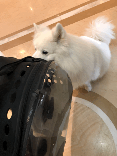 480_640 竖版 竖屏