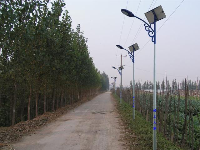 国家为农村安装路灯,农民一开始无比激动,现在