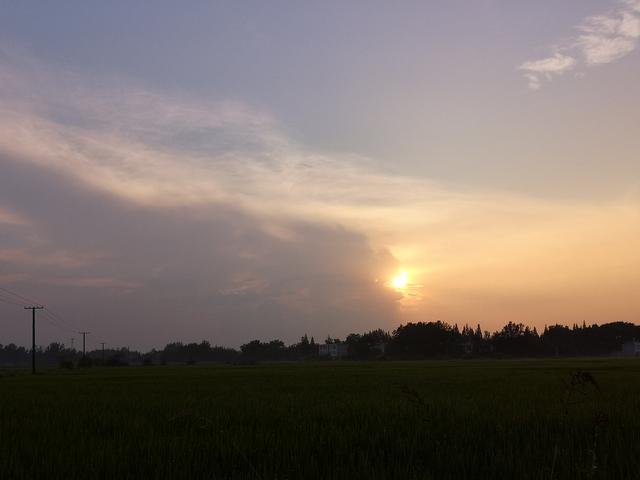 4首奇诗:写风无一风字 写花无一花字 写雪无一