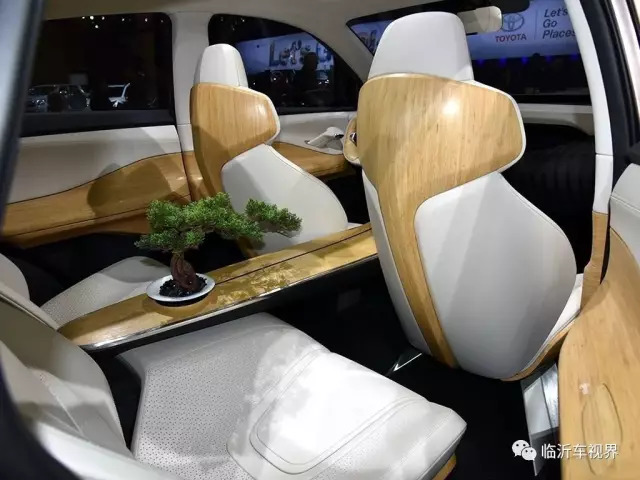 宝马X6已落伍，这辆带有盆景的国产SUV售价50万配置超X6！