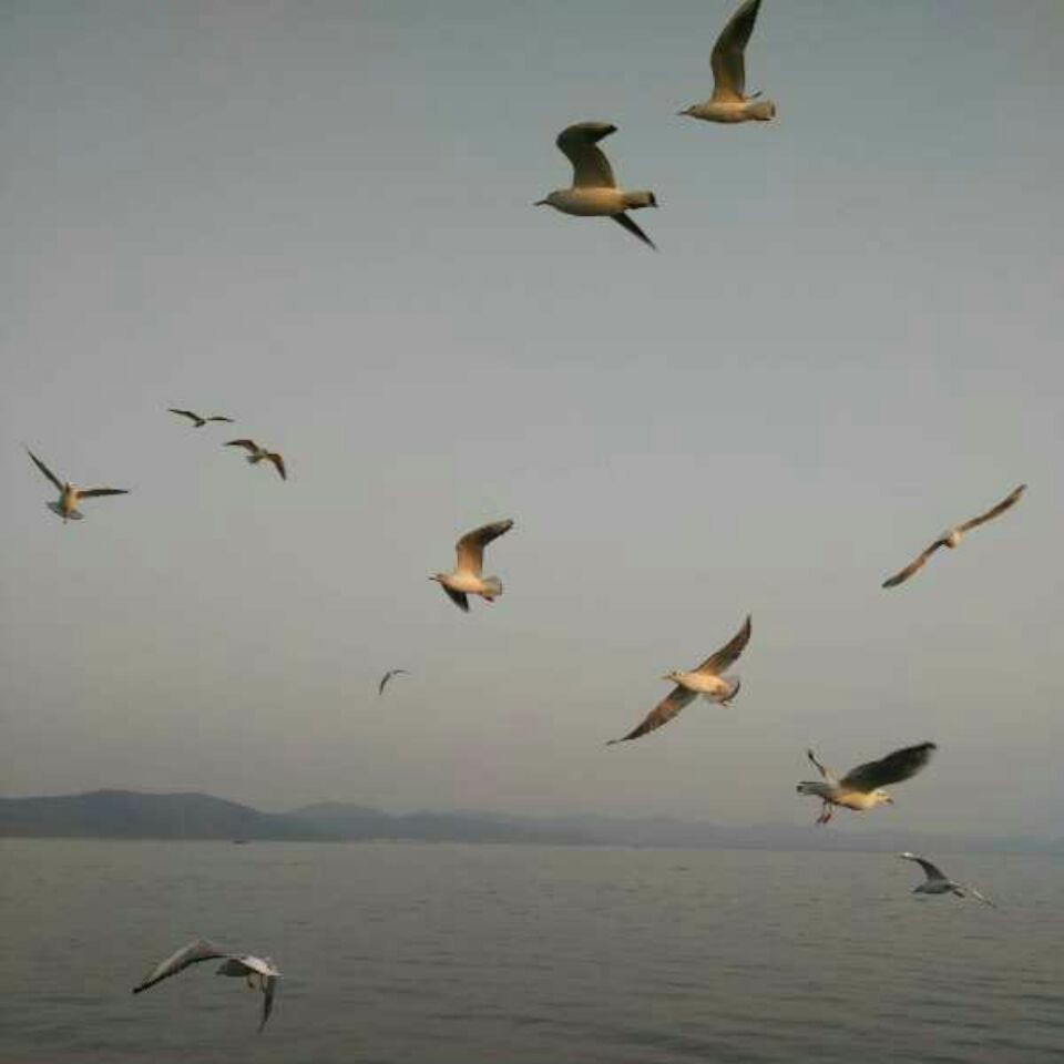 西安南大街建行着火:系大楼外立面维修电焊作