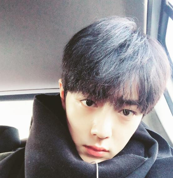 换了发型的肖战终于走上了颜值巅峰!网友:小奶狗哥哥!