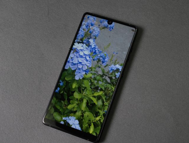 王自如评测坚果R1,网友的评论彻底炸锅了?