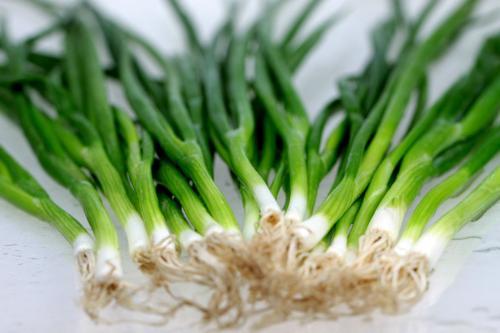 80%的人都不知道,我们随手丢掉的葱须竟然还有这些妙用?