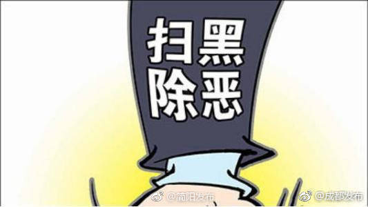 中央扫黑除恶第10督导组 督导四川省工作动员