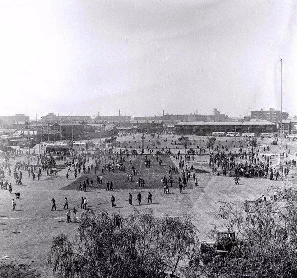 考一考沈阳人:你知道沈阳面积最大、最悠久的