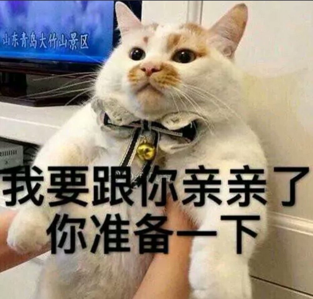 抖音系列猫咪,可爱撩人表情搞笑上大饼图挂脖子客官,表情拿走 抖音系列猫咪,可爱撩人表情搞笑上大饼图挂脖子客官,表情拿走