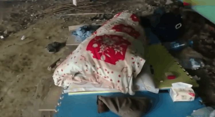 男子在外打工每天睡天桥下,只有一床棉被,背后原因让人心酸!