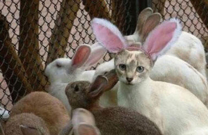 搞笑段子:洗澡,往左一点烫死,往右一点冻死!