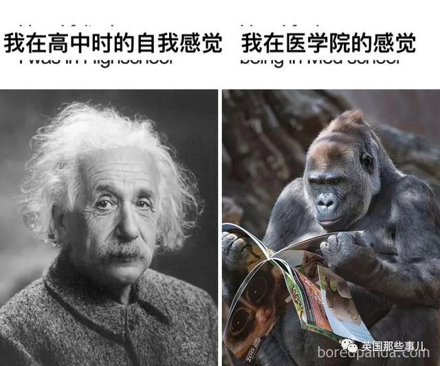 来自医生的暗黑幽默感……搞笑得让人瑟瑟发抖