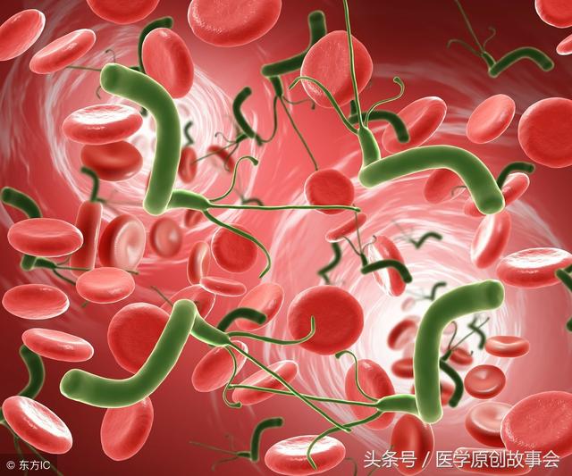 消化专家:幽门螺杆菌感染一定要多吃这四种食