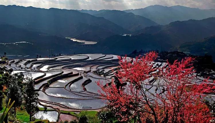 在这里遇见云南最美的红河哈尼族彝族自治州红河县