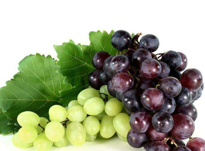 假如你在沙漠里走1天,这4种水果,只能选一种吃