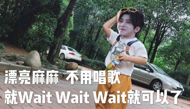 蔡徐坤新表情包诞生,大奎小葵齐上线"争宠"
