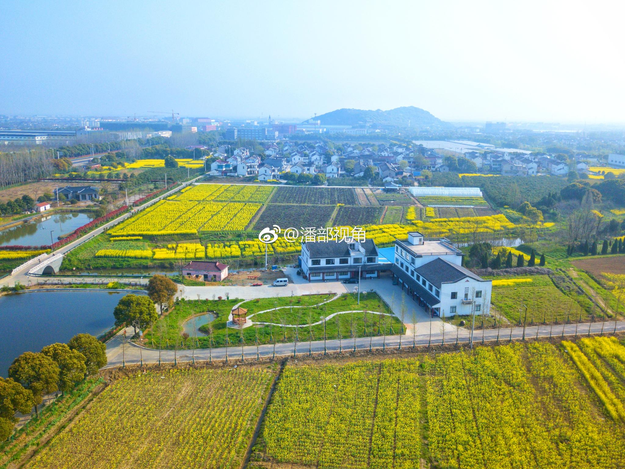 "春看油菜秋赏菊,满城尽带黄金甲.这是无锡山联村的特色