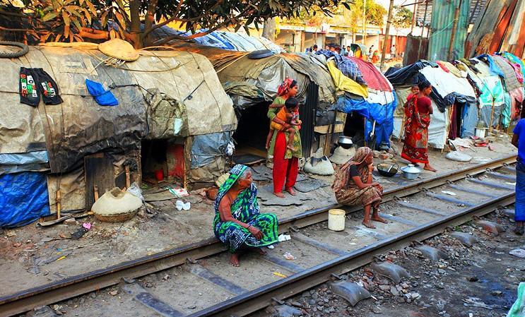 孟加拉经济总量_孟加拉豹猫(2)