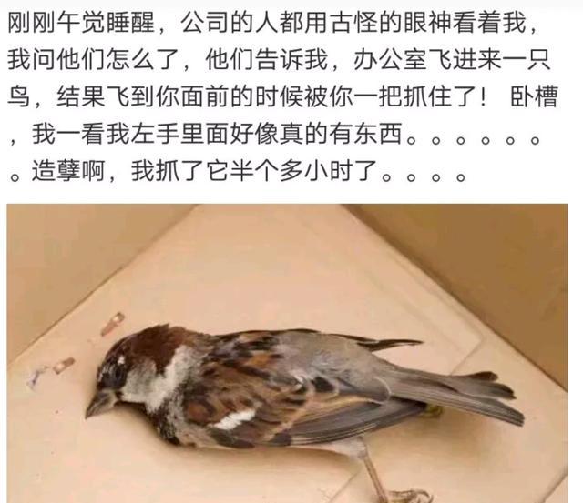 睡觉醒来发现睡懵后都做了哪些搞笑的事情?捏死了一只