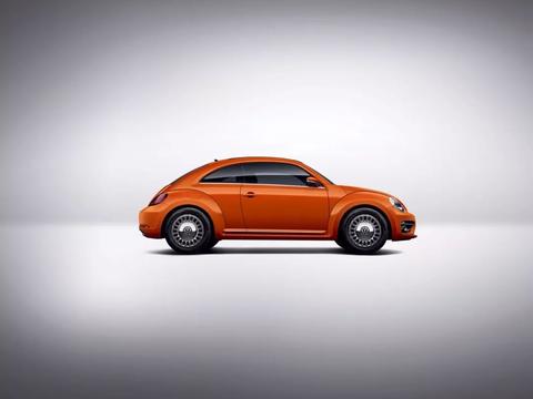 甲壳虫频繁出“色”，难道是退休前最后的狂欢？