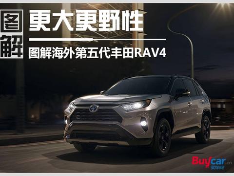 更大更野性 图解海外第五代丰田RAV4