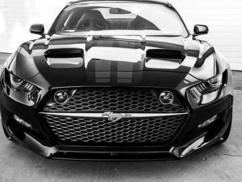 “福特“最新资讯都在这了，就等你来