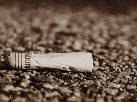 海龟身上发现了不可能出现的物质，科学家：人类应该警...