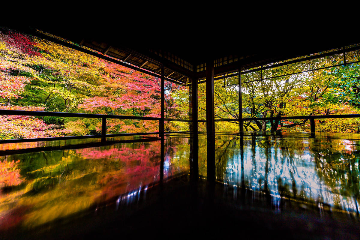 晚年惟好静,万事不关心。自顾无长策,空知返旧