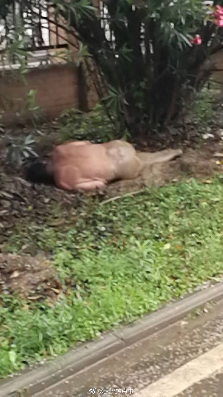 武汉某小区外发现裸体男子趴倒在地|武汉|小区|祼体