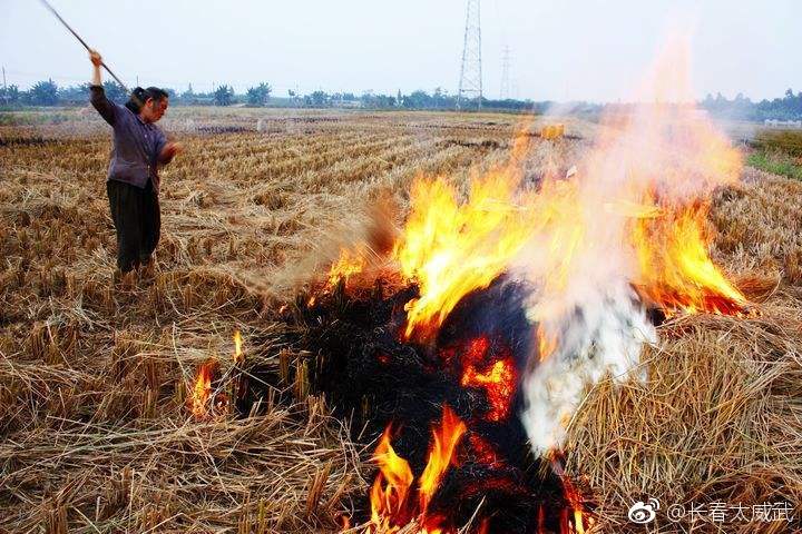 九台、农安、伊通等地部分镇村干部因秸秆禁烧