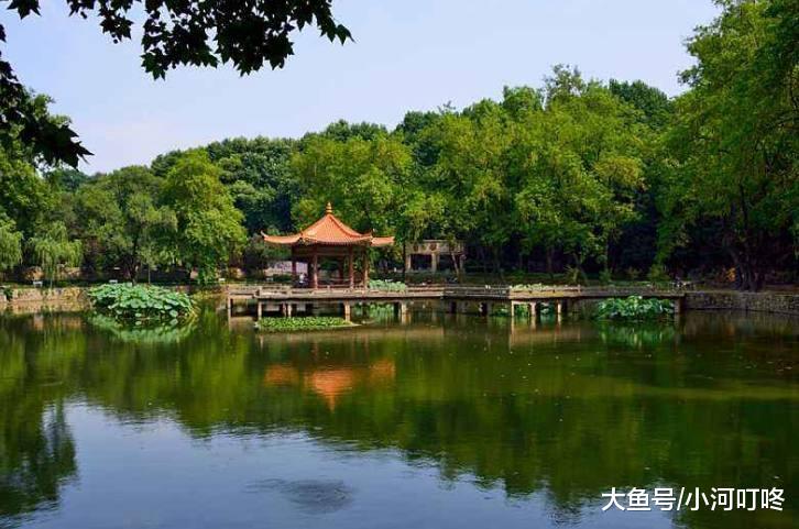 在河南招生人数最多的三所985大学, 你喜欢哪