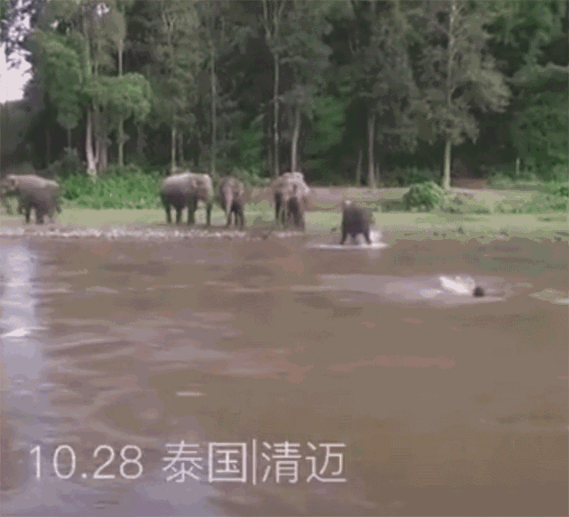 抖音上点赞破1000万的真实故事,看完心都融化