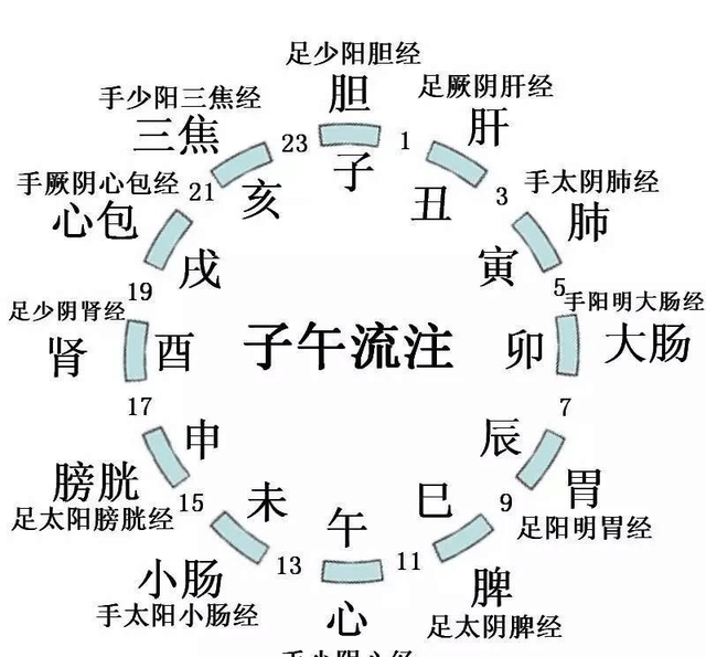 养生馆调理脾胃的原理是什么_脾胃调理养生图片大全