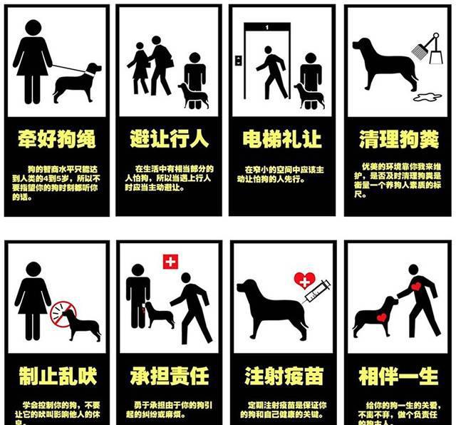养犬证办理攻略（上海）