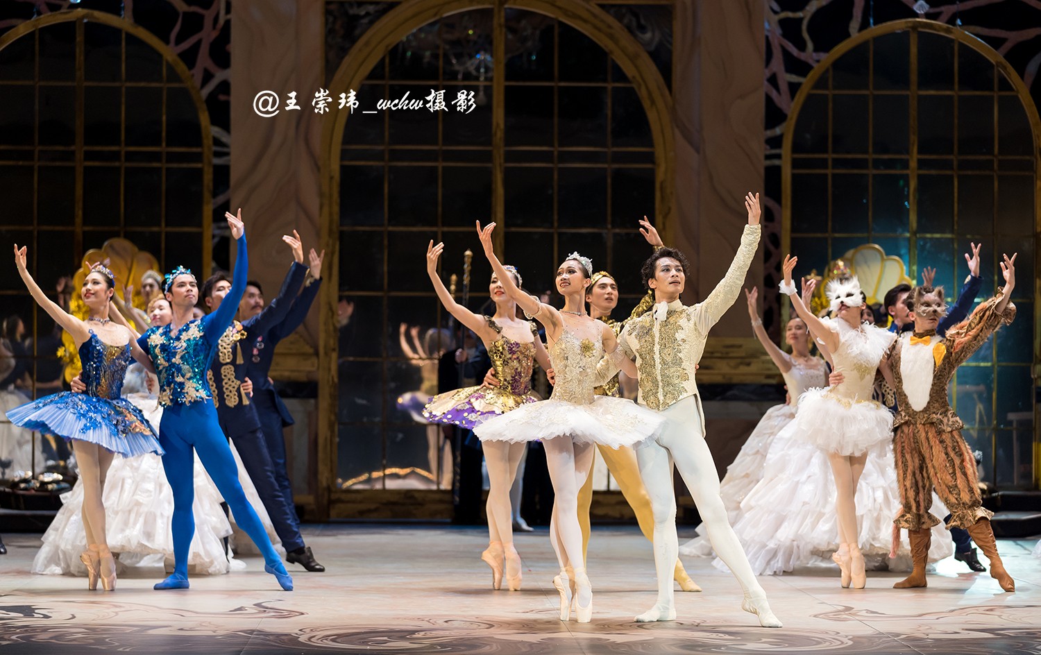 乌克兰儿童芭蕾舞剧院 童话芭蕾《睡美人》「临沂」_门票预订【有票】_价格_时间_场馆