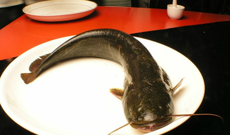 农村河里即将消失的野味,图2是餐桌上的主角,