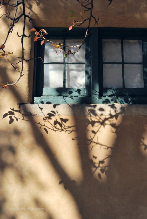 阳光从窗户照进房间——秋天里最好的事