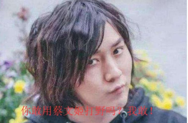 张大仙尝试用蔡文姬打野,网友:不仅国服,我更服