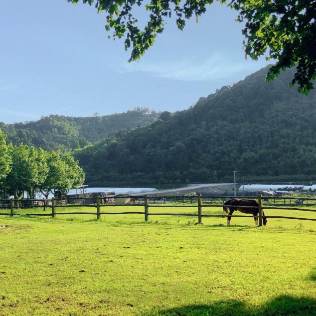 裸心谷节油之旅 体验凯迪拉克轻混动XT5