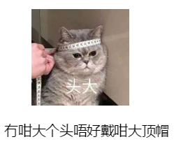 打包了100句粤语表情,50俗语粤语表情,赶紧变形记多钱多多个包图片