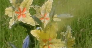 在《迪迦奥特曼》里,导致超古代灭亡的原因究