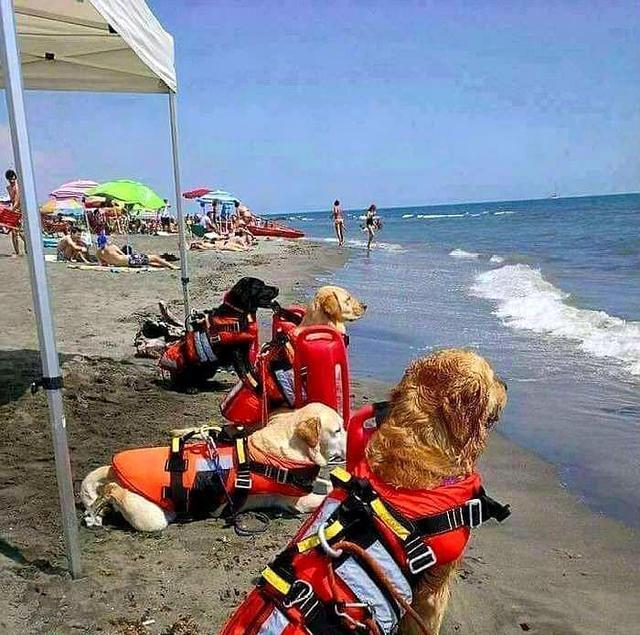 搞笑段子爆笑囧图:地震?四川人遇见地震的那些