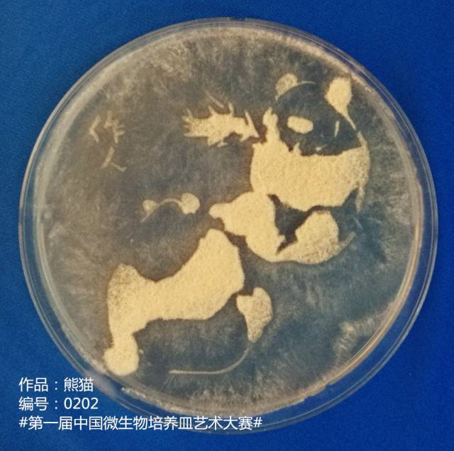老外用细菌绘《蒙娜丽莎》中国科学家用微生物