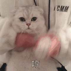 一口气买十只的泰国平价口红！比一线大牌还抢手！！！