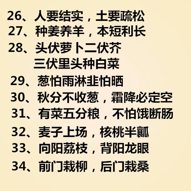 农村老人流传下来的俗语大全